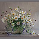 ���� ��������, ������-���, 56 ��� - ��������� 8 ������� 2014 � ������ ��������-����������