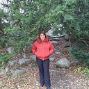 ���� ����, ������ - ��������� 3 �������� 2014 � ������ �1�