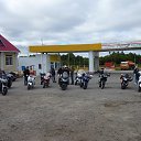  , , 49  -  31  2014       31 