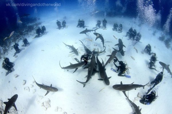      ? ,  ,     ,   ... - 5