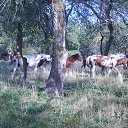 ���� ������, ������, 56 ��� - ��������� 5 �������� 2014