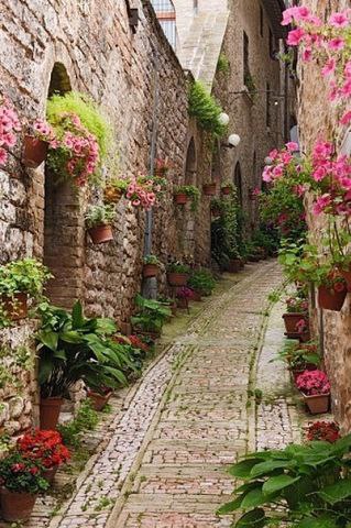  , . France.