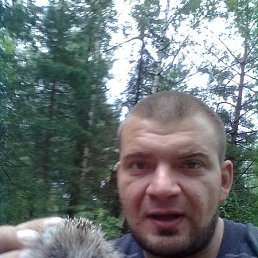 , 38, 