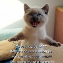 ���� O.l., �����, 59 ��� - ��������� 7 ������� 2014 � ������ �������