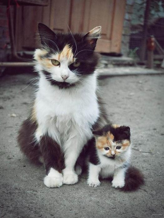   - 16  2014  03:31 - 4