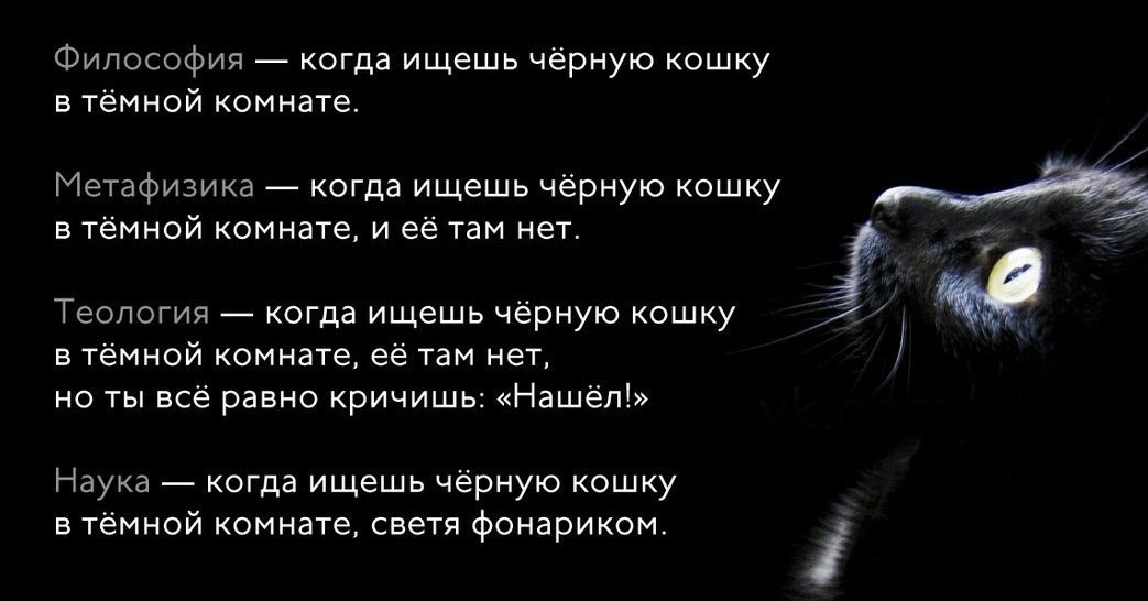 Описание черной кошки. Цитаты про черную кошку. Цитаты про черного кота. Цитаты про черных кошек. Высказывания про черную кошку.