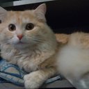 ���� �������, ������, 45 ��� - ��������� 25 ������ 2014 � ������ ���� ����������