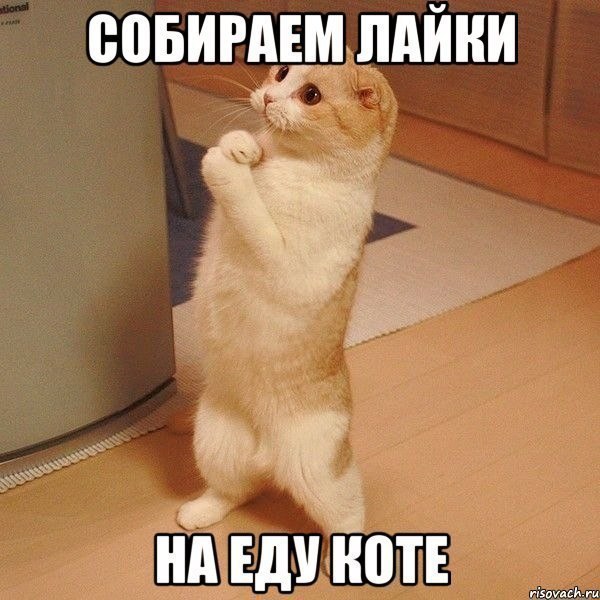    :D - 2  2014  16:14