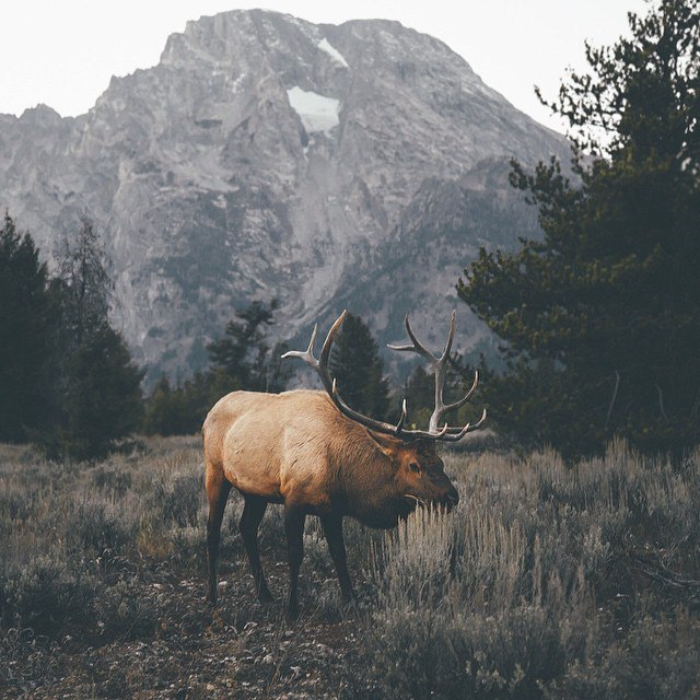 Dylan Furst - 8