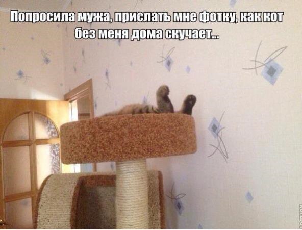    <a href=