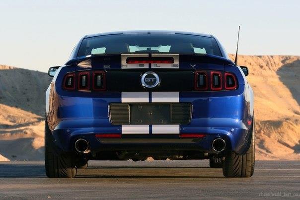 2014 Shelby GT - 5