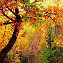 ���� ����, ������-��-����, 54 ���� - ��������� 26 �������� 2014 � ������ ������ ��������