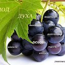 ���� �����, �����, 63 ���� - ��������� 6 ������� 2014