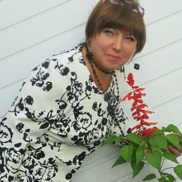 ���� ����, �����, 66 ��� - ��������� 18 �������� 2014