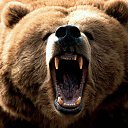 ���� Georgi, �����������, 52 ���� - ��������� 11 ������ 2014 � ������ ���� ����������