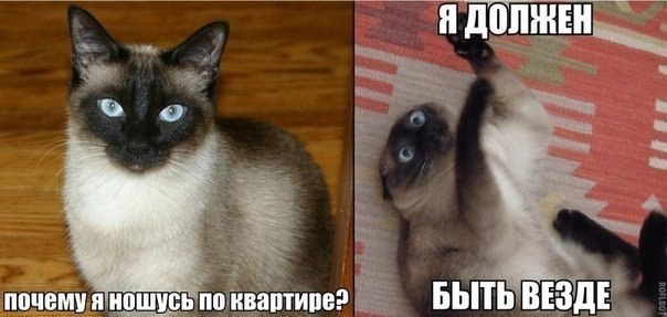  -  - 3  2014  10:23