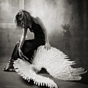 ���� �������� (�� �������), ������, 52 ���� - ��������� 23 �������� 2014 � ������ �����������