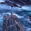 ���� Musa, ����, 56 ��� - ��������� 13 ������� 2014 � ������ ���� ����������