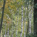  ir@ge))) ))), , 47  -  30  2014    