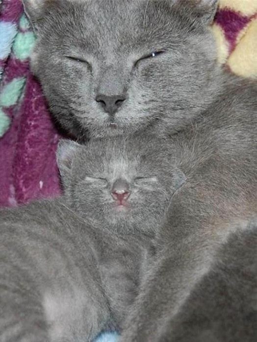   - 16  2014  03:31 - 5