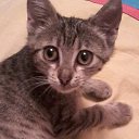 ���� ������, �������, 50 ��� - ��������� 29 ������� 2014 � ������ ���� ����������