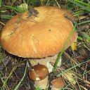 ���������, ����� ������ ������ �� ������� ���� ����������