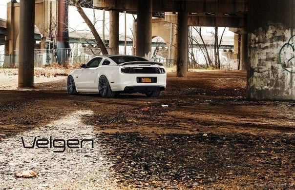 Ford Mustang GT 5.0 on Velgen Wheels. - 5