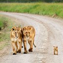 ���� ��������, ����� - ��������� 26 �������� 2014 � ������ ������ ��������