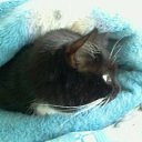  Elenka))) 219,  -  7  2014    -  .