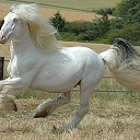 ���� �����, ��������� - ��������� 1 ������� 2014 � ������ ���� ����������