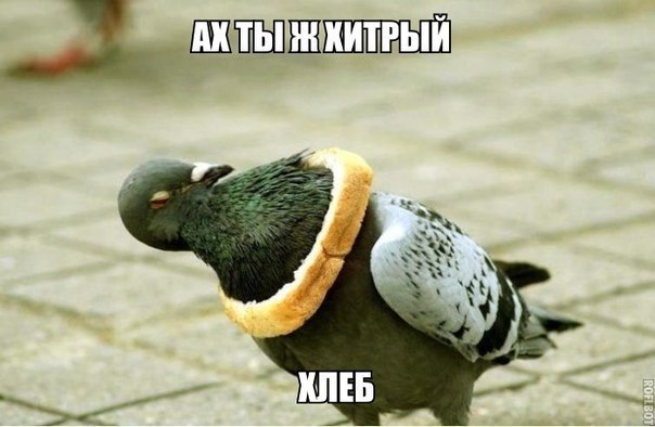    :D - 6  2014  07:03