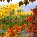 ���� �����, ������� �������� - ��������� 1 �������� 2014 � ������ ������ ��������