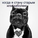 ���� ����, �����-���������, 57 ��� - ��������� 6 �������� 2014 � ������ ������ ��������