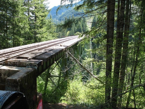      .The Vance Creek Bridge  ,   1929    ... - 7