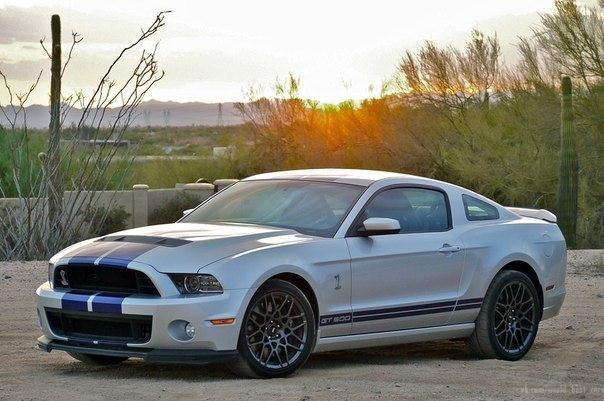 Ford Shelby GT500. , .: 5409 : V8 , ..: ...
