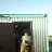 ���� ��������, ������-��-����, 54 ���� - ��������� 18 ������� 2014