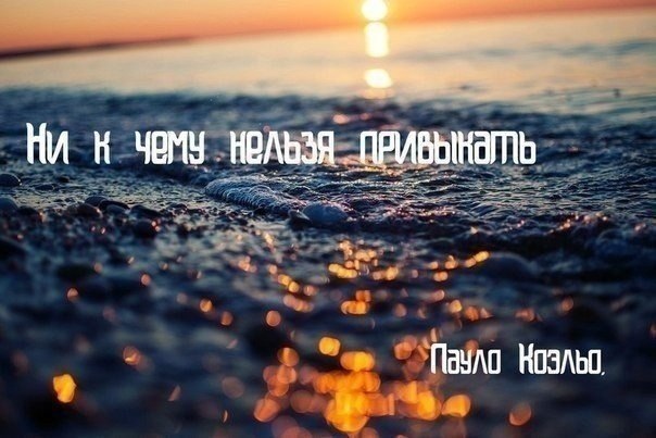 ����� � ����� - 8 ������� 2014 � 13:09