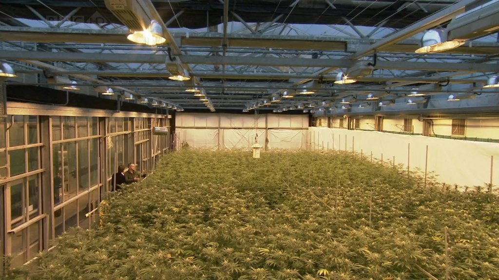 :  ? (BBC https://fotostrana.ru/away?to=/sl/9Ys1 The Evil Weed?)  ()  ... - 2