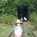 ������-������ �� ������� ���� ����������