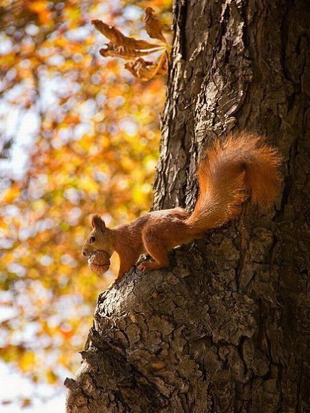   : http://fotostrana.ru/public/233467 ;-)      ... - 2