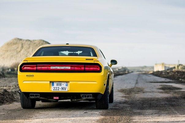 Dodge Challenger SRT8 Yellow Jacket | Nicolas Serre - 4