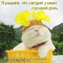 ���� ������, �����, 66 ��� - ��������� 23 ������ 2014 � ������ ���� ����������