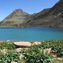  Tevos, , 43  -  28  2014    