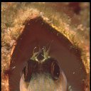 ���� ���������, �����������, 37 ��� - ��������� 1 ������ 2014 � ������ ���� ����������