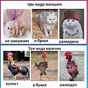 ���� ������, ���������, 68 ��� - ��������� 1 �������� 2014 � ������ ������ ��������