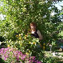 ����� ���� �� ������� �� ������� ���� ����������