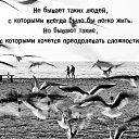 ���� �����, ������ - ��������� 25 ������� 2014 � ������ ������ ��������