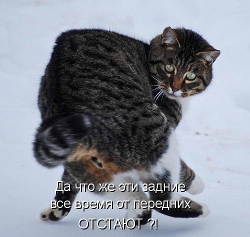  - 1  2014  05:29