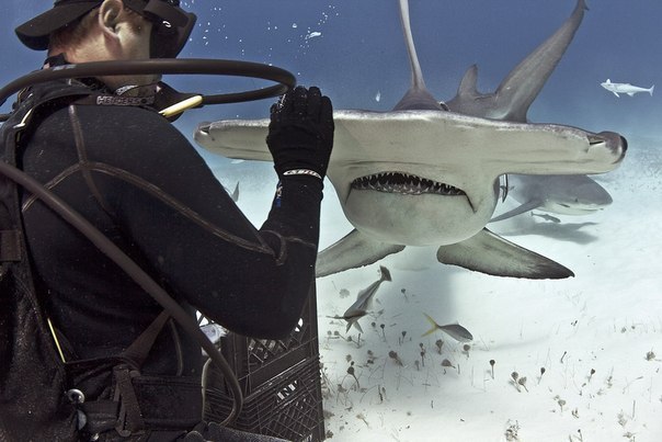      ? ,  ,     ,   ... - 2