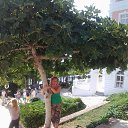 ���� ����, �������, 62 ���� - ��������� 19 �������� 2014 � ������ ���� ����������